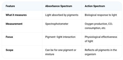 Anaerobic respiration and fermentation comparison table