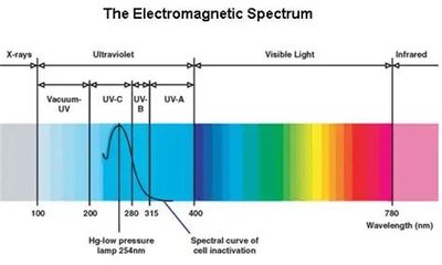 Absorbance vs Action Spectrum table
