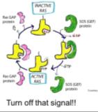 RAS signal deactivation