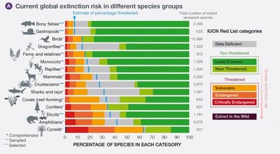 Bar graph showing extinction risk in different species groups