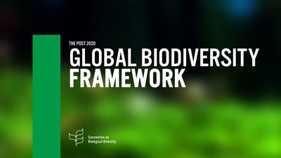 Global Biodiversity Framework slide, illustrating international conservation targets