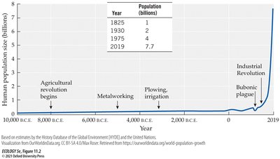 Graph showing exponential human population growth over time