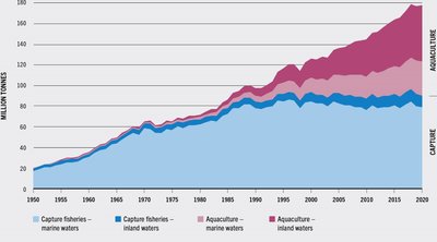 Graph of world capture fisheries and aquaculture production