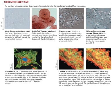Types of light microscopy