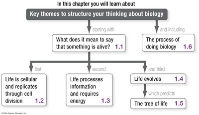 Chapter roadmap: Key themes in biology