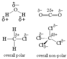 Table comparing polarity and shape of water, methane, and carbon dioxide