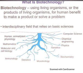 Diagram showing the interdisciplinary nature of biotechnology, with roots in various sciences