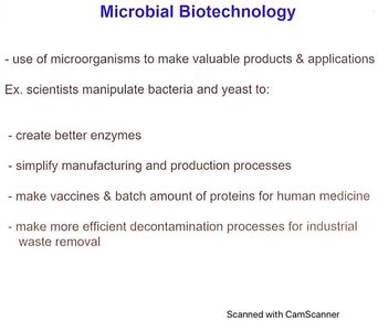 Summary of microbial biotechnology applications