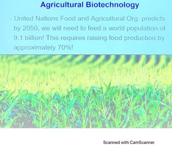 Image of agricultural field representing increased food production
