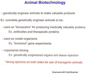 Summary of animal biotechnology applications