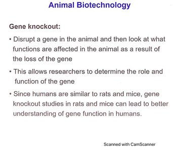 Explanation of gene knockout studies