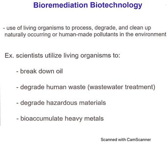 Summary of bioremediation biotechnology applications