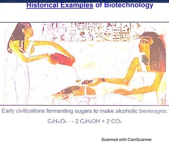Ancient depiction of fermentation for alcoholic beverages
