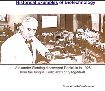 Alexander Fleming and the discovery of penicillin