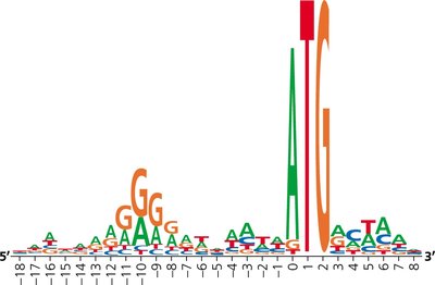 Sequence logo using 149 sequences for ribosome binding sites