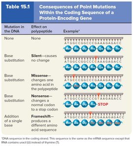 Table of consequences of point mutations in coding sequence