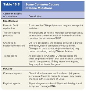 Table of examples of mutagens and their effects