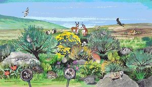 Illustration of a terrestrial ecosystem with various plants and animals