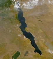 Satellite image of Lake Tanganyika, an example of high fish production with low standing biomass of producers