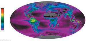 Global map of net primary production (NPP) by biome