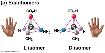 Enantiomers: L and D isomers