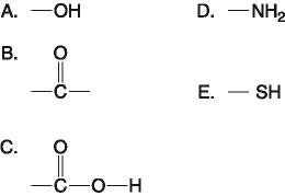 Functional groups diagram