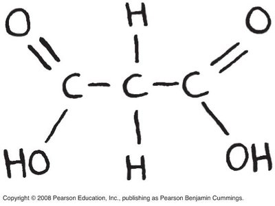 Molecule with functional groups for practice