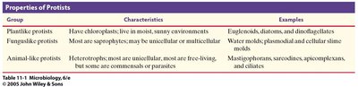 Table of protist properties