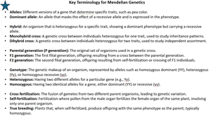 Important terms and definitions for Mendel's experiments