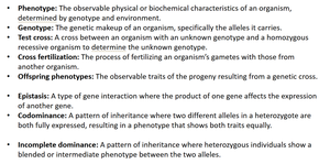 Flow chart of genetics and inheritance patterns