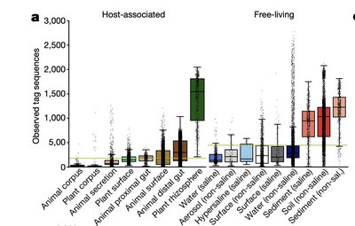 Bacterial diversity in soil and sediments