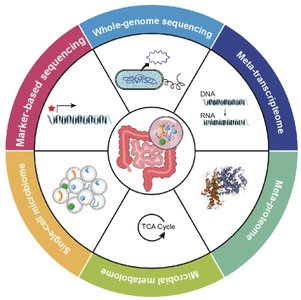 Omics methods for microbiome analysis