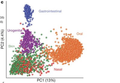 Microbial communities vary by body site