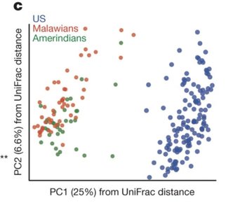 Principal coordinate analysis of gut microbiomes from different populations