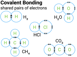 Electron sharing in covalent bonds