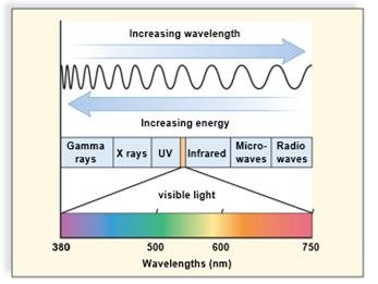 Electromagnetic spectrum including visible light