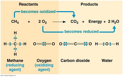 Redox reaction: methane and oxygen to carbon dioxide and water