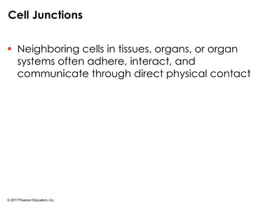 Tight junctions in animal cells