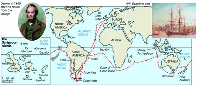 Map of the voyage of HMS Beagle