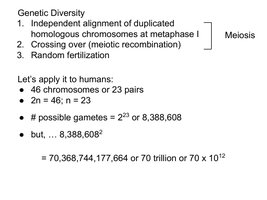 Genetic diversity calculations in meiosis