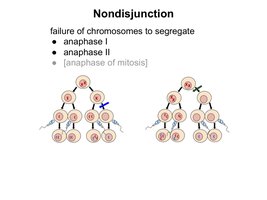 Diagram of nondisjunction during meiosis