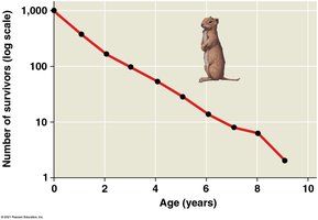 Survivorship curve for Belding’s ground squirrels