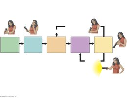 Scientific method flowchart with alternate outcome