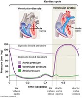 Cardiac cycle and blood pressure graph