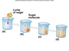 Sugar dissolving in water as an example of diffusion