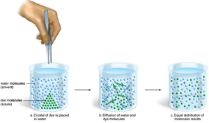 Diffusion of dye in water
