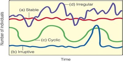 Graph showing stable, irruptive, cyclic, and irregular population patterns