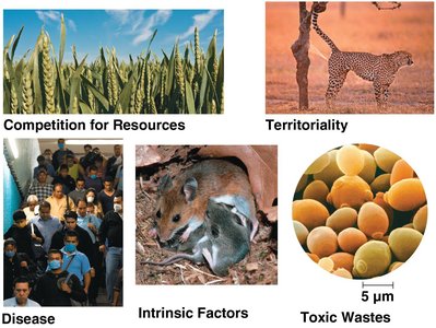 Images representing competition, territoriality, disease, intrinsic factors, and toxic wastes