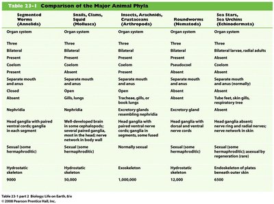 Comparison of the Major Animal Phyla, part 2