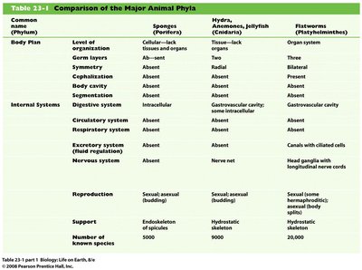 Comparison of the Major Animal Phyla, part 1